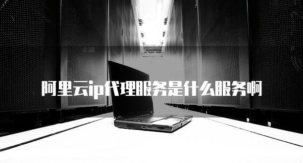浏览器设置ip代理服务器