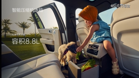 A child in a car with a lamb in the back seat Description automatically generated